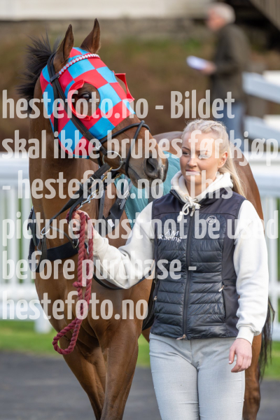 20240509-180257-DSC2013-Forbedret-NR