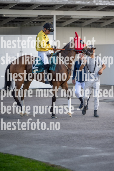 20240509-180911-DSC2037