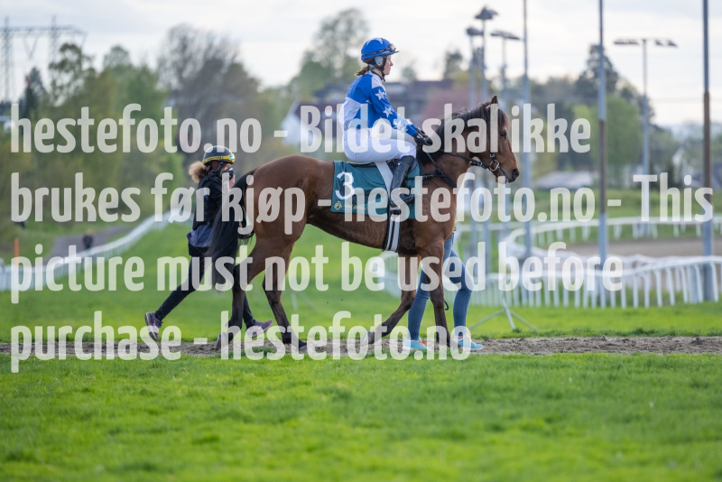 20240509-181059-DSC2064