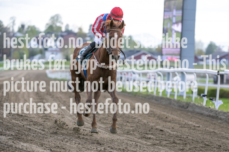 20240509-181833-DSC_0887