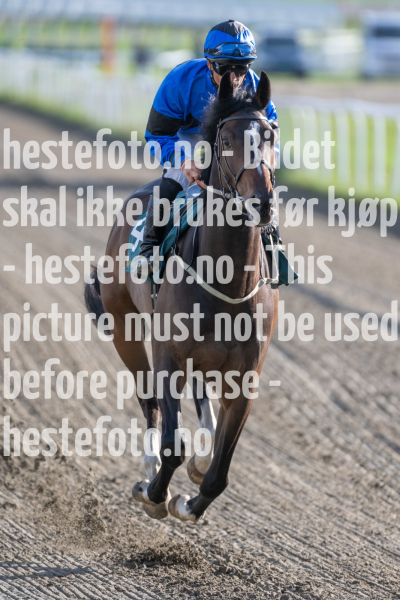 20240509-183556-DSC2165
