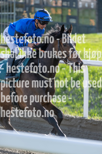 20240509-183558-DSC2172
