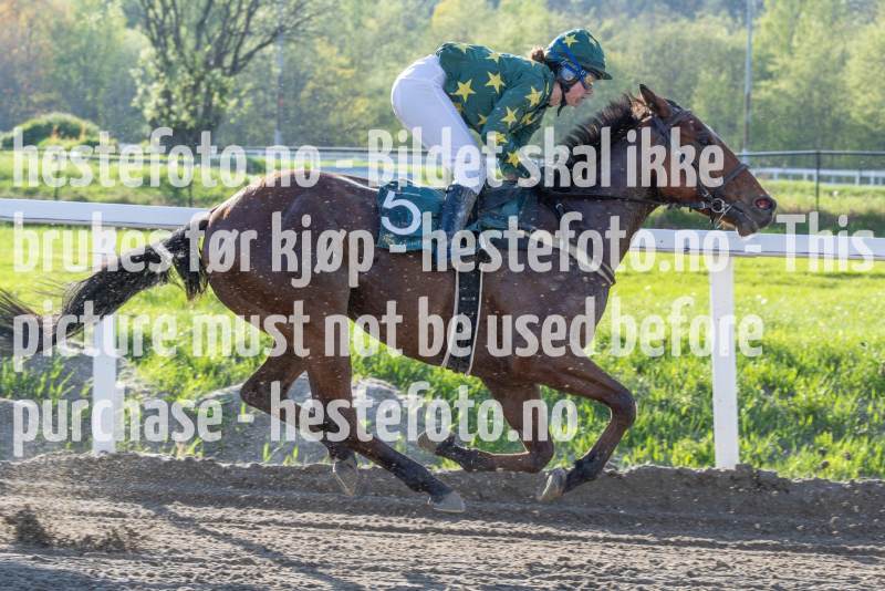 20240509-184217-DSC2201-Forbedret-NR