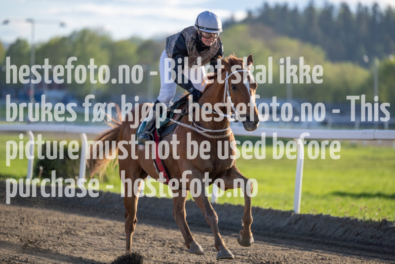 20240509-193239-DSC2470