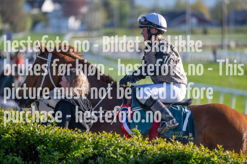 20240509-193620-DSC2499