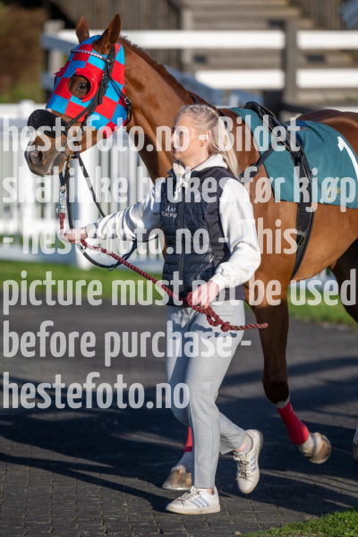 20240509-194248-DSC2529