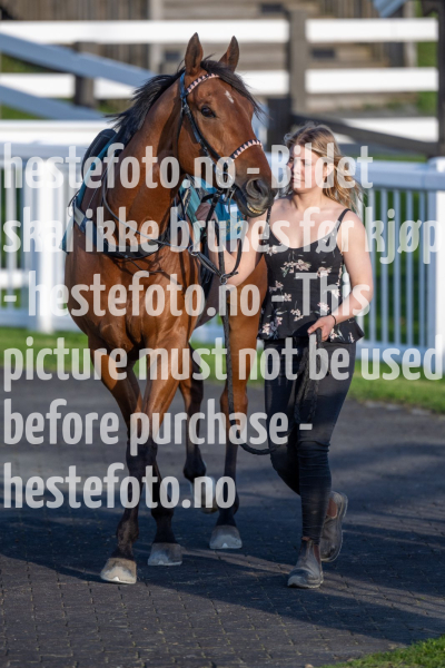 20240509-194340-DSC2552