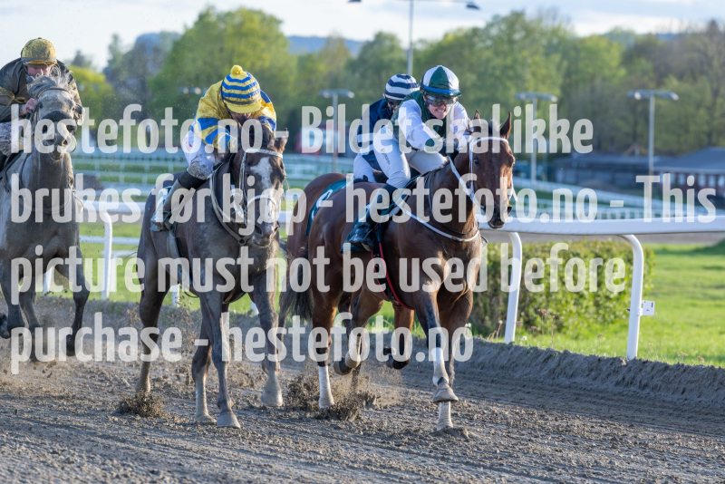 20240509-195657-DSC2642-Forbedret-NR