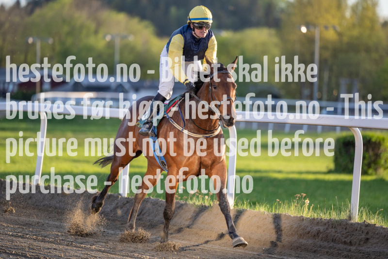 20240509-202447-DSC2820