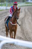 20240509-181144-DSC_0418