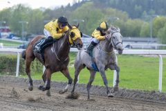 20240509-181819-DSC2087-Forbedret-NR