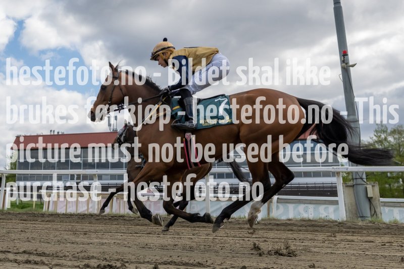 20230517-121611-DSC5308