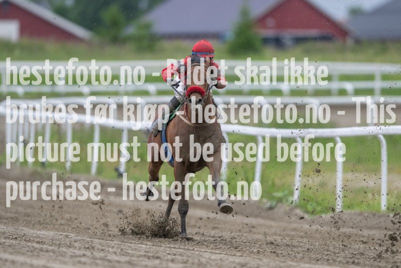 20230629-175550-DSC_9841