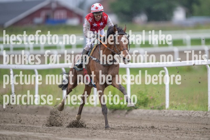 20230629-184137-DSC_0388