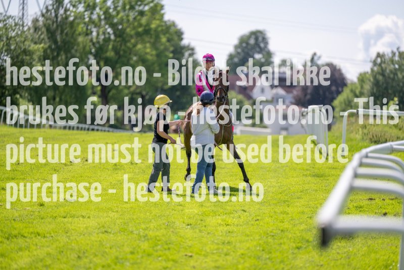 20230705-135641-DSC_7313