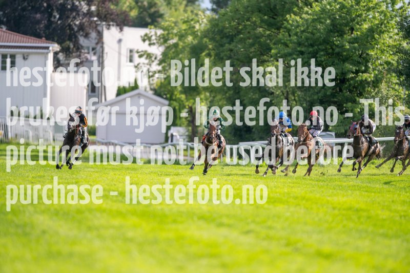 20230713-184358-DSC_0550