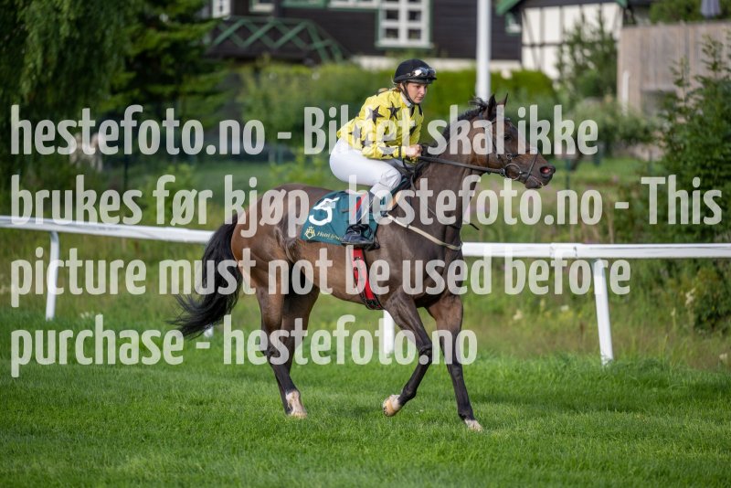 20230713-192637-DSC1515