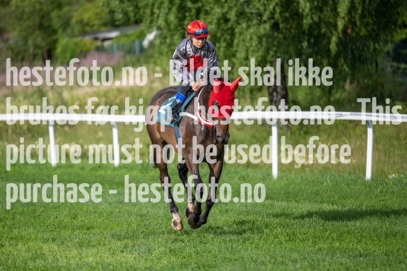 20230713-192701-DSC1557