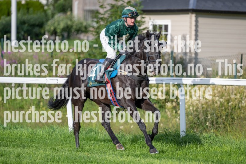 20230713-192755-DSC1605