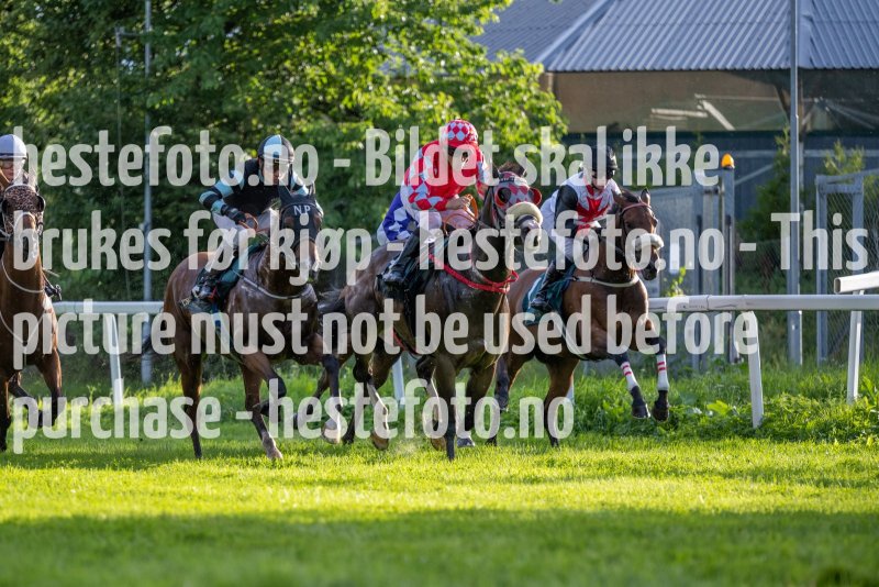 20230713-195648-DSC1782