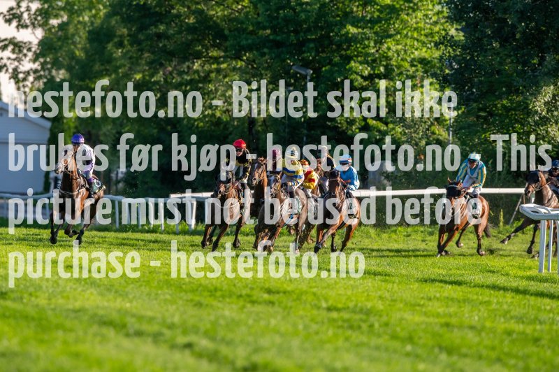 20230713-202732-DSC_1057