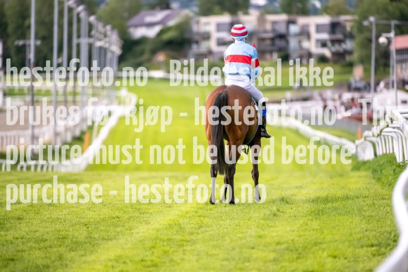 20230720-190017-DSC_2502