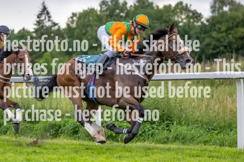 20230720-200109-DSC2041