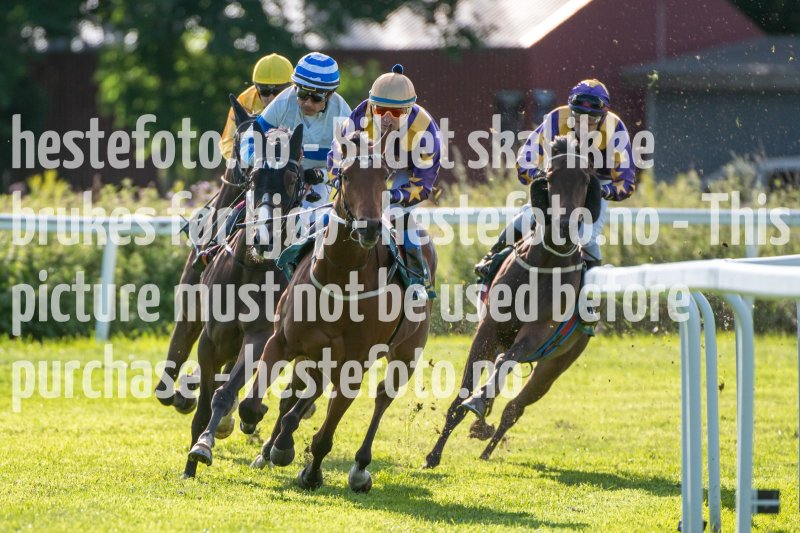 20230727-181850-DSC_2063
