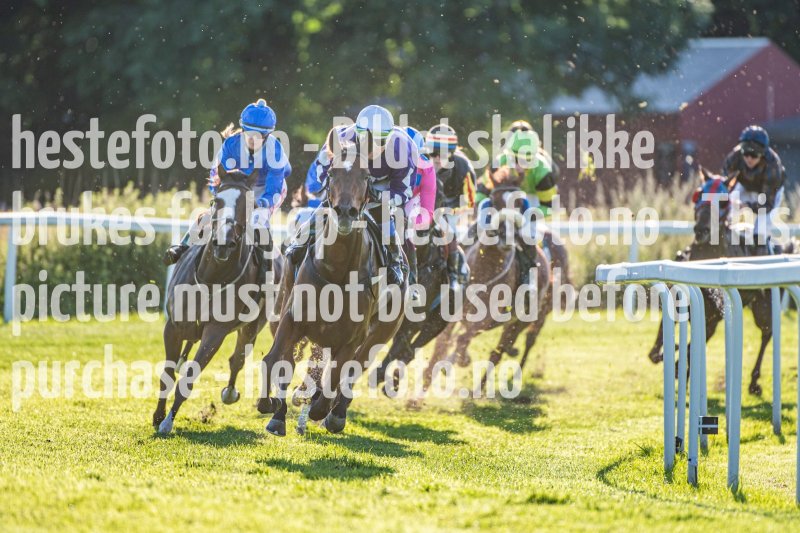 20230727-190231-DSC_2208