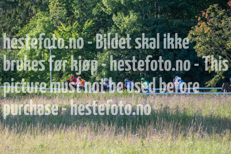 20230727-192531-DSC_2295