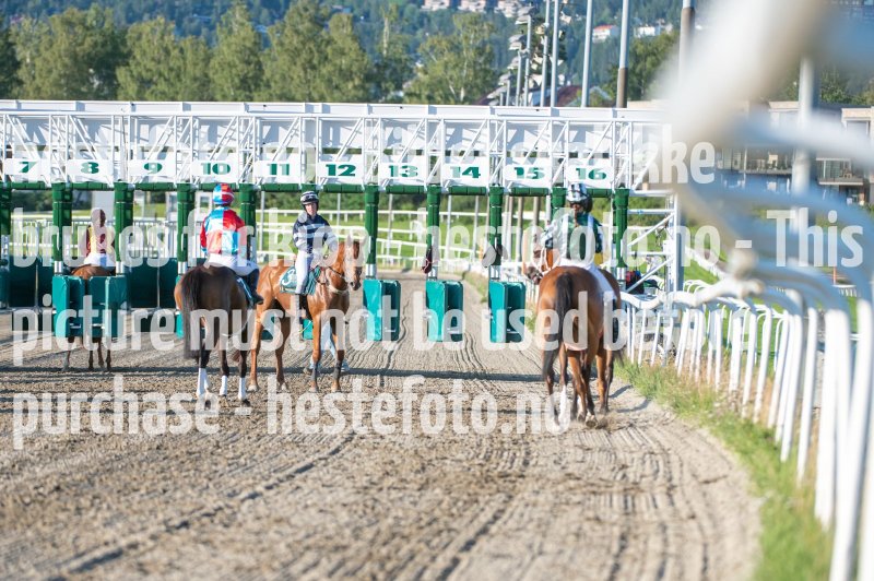 20230727-194554-DSC_2449