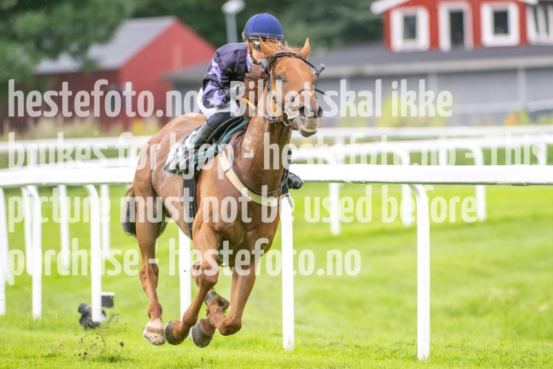20230802-132023-DSC_5677