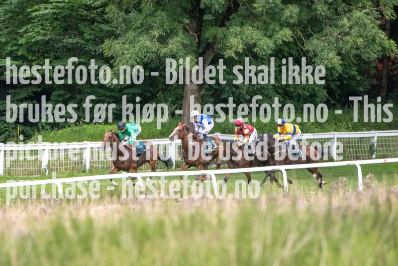 20230802-143047-DSC_6053