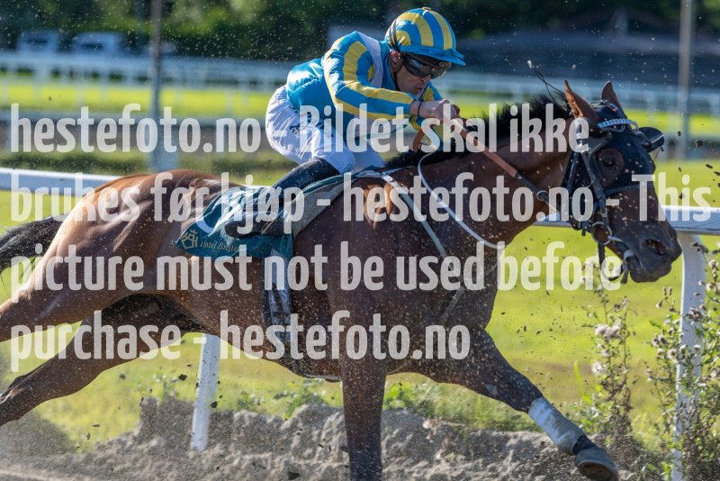 20230817-175202-DSC5059
