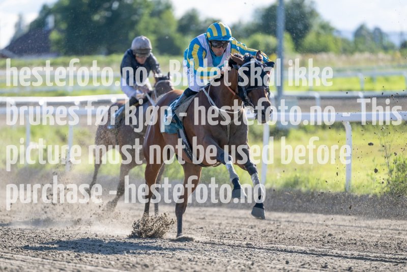 20230817-175203-DSC_5611