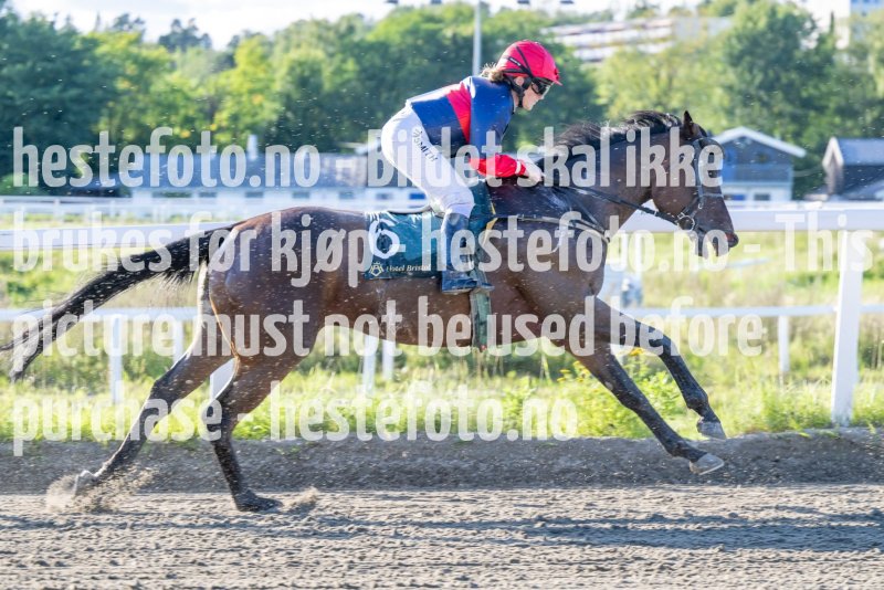 20230817-181718-DSC_5735