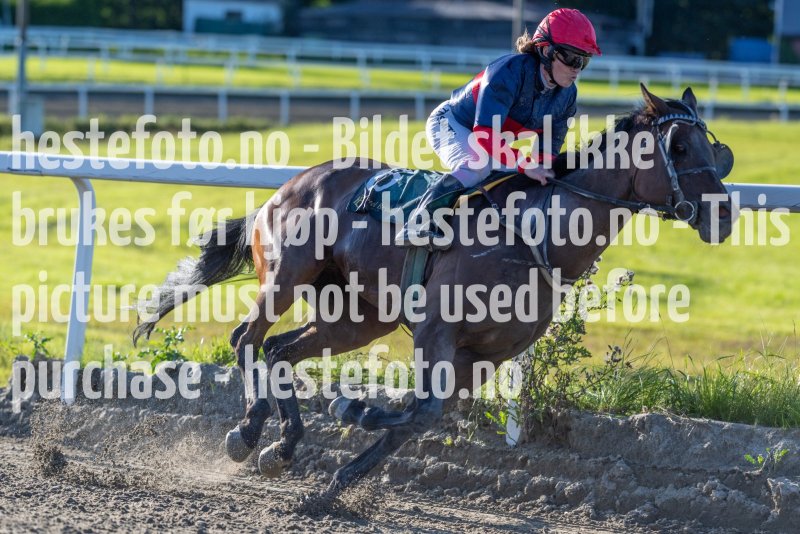 20230817-181847-DSC5098
