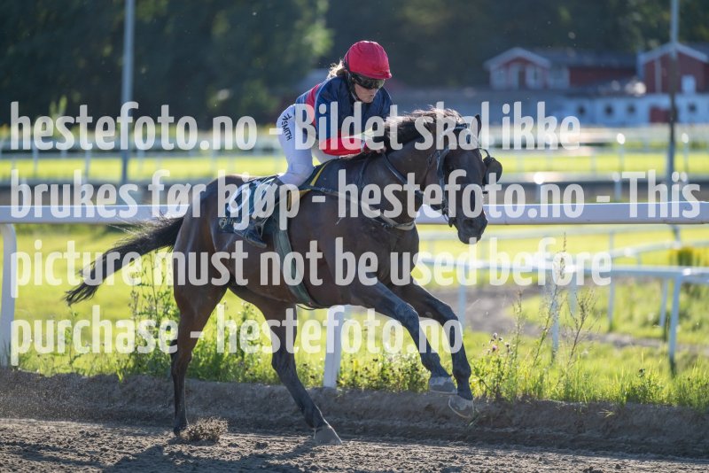 20230817-181848-DSC_5830