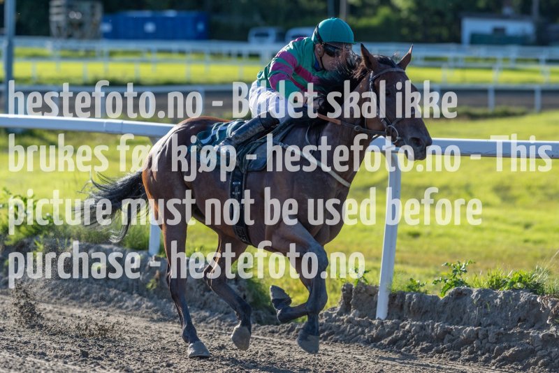 20230817-181849-DSC5104