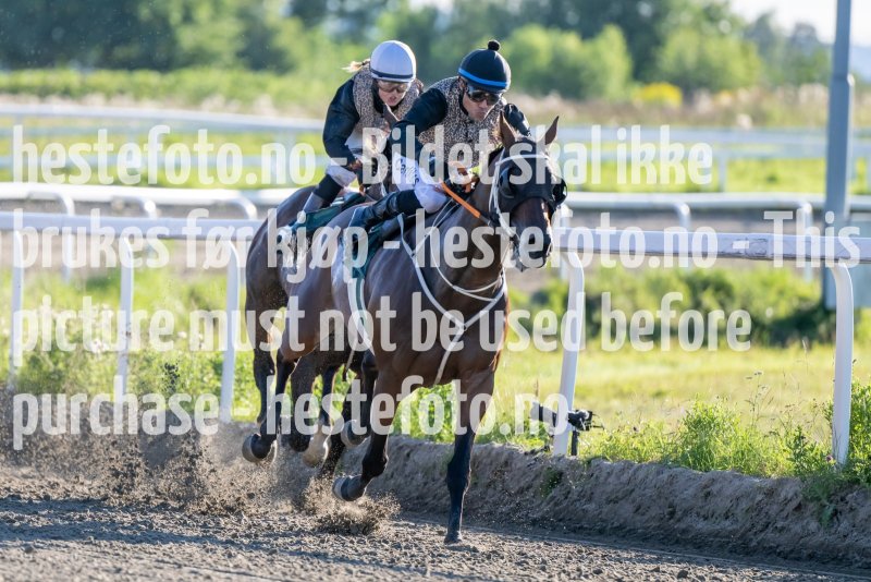 20230817-184217-DSC_5904