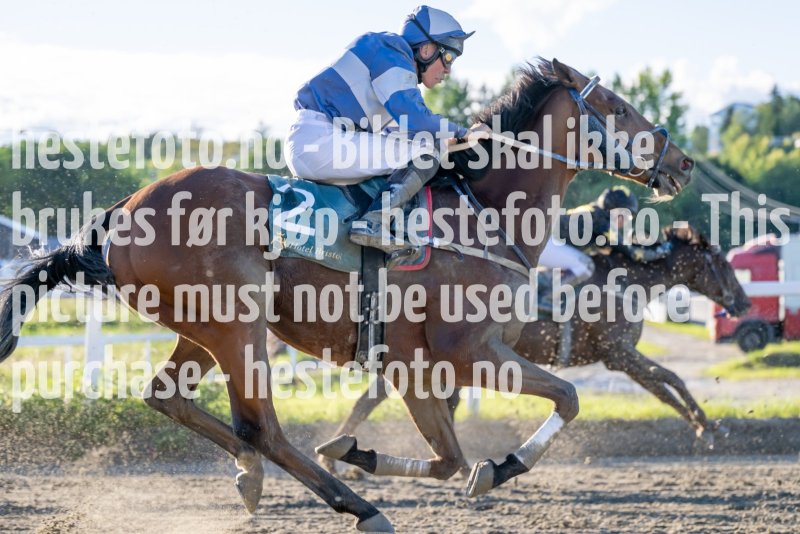 20230817-190828-DSC_6134
