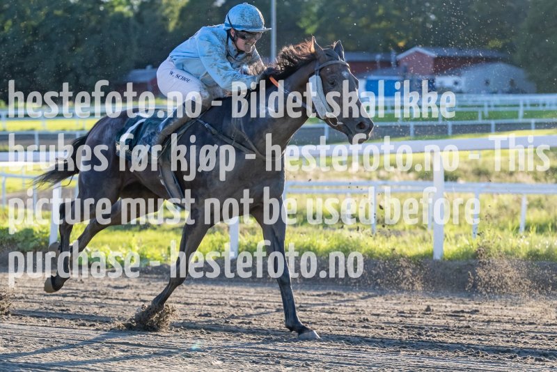 20230817-193508-DSC_6228