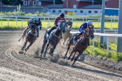 20230817-175201-DSC5049