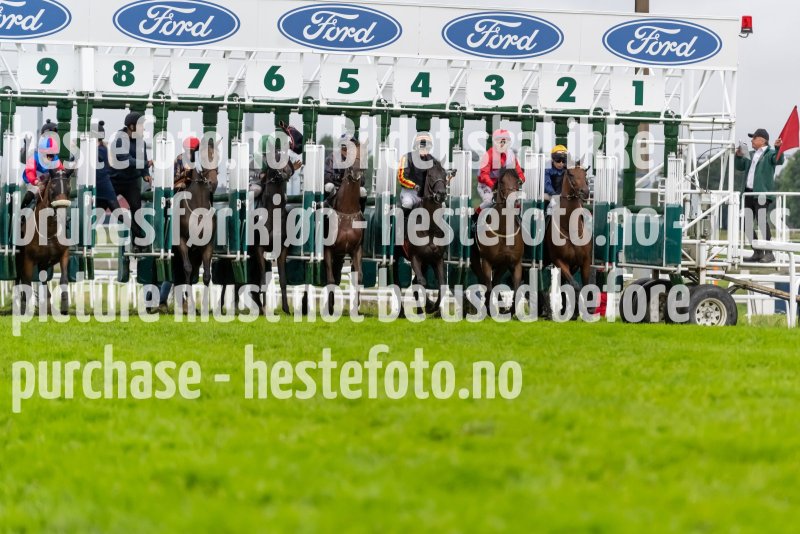 20230820-171903-DSC5918-10