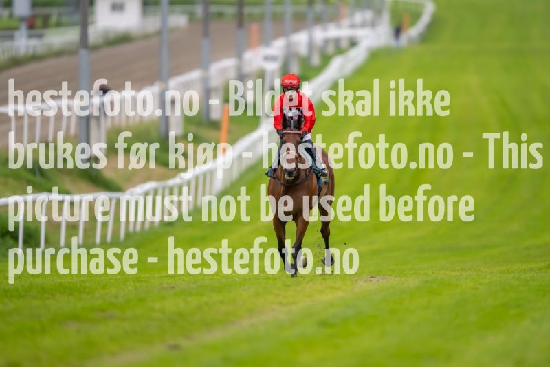 20230907-181331-DSC_1355