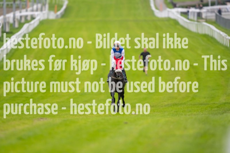 20230907-181352-DSC_1517