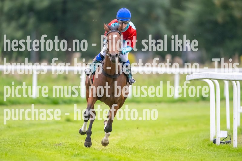 20230907-184504-DSC_2989