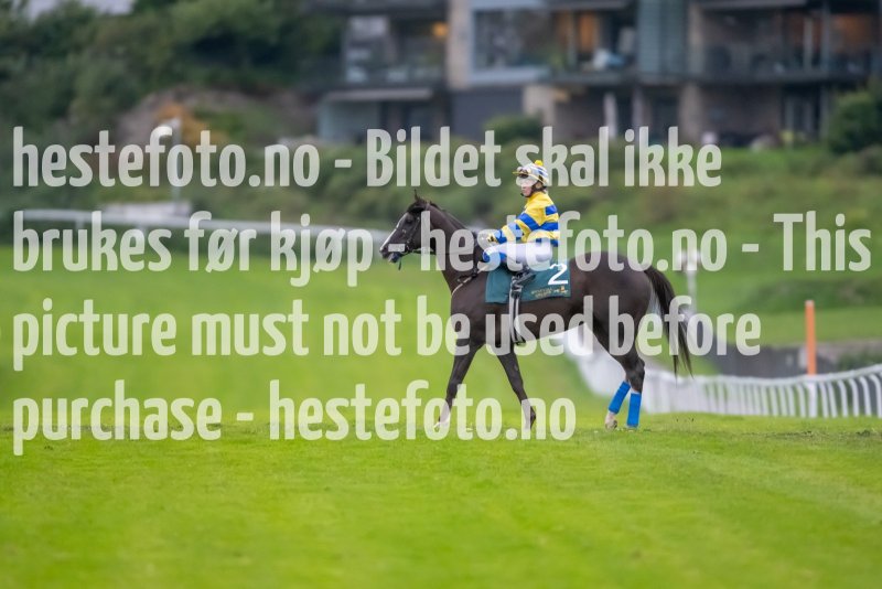 20230907-192631-DSC_3104