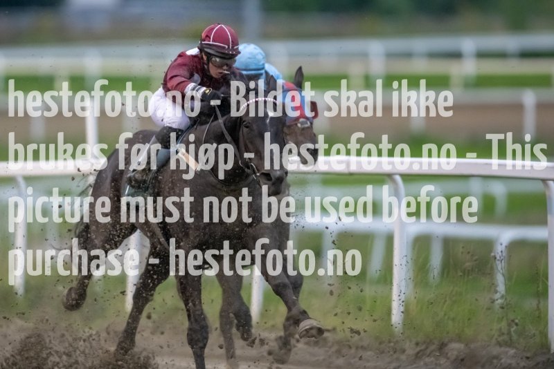 20230907-193443-DSC_3302