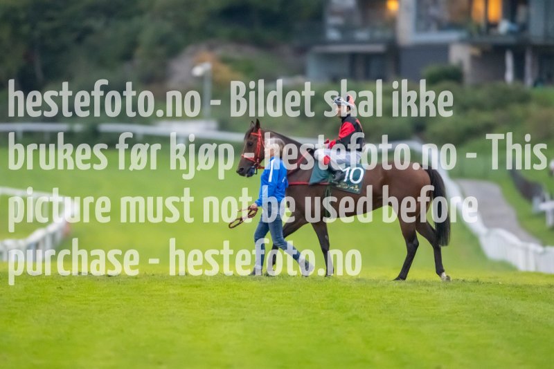 20230907-195215-DSC_3415